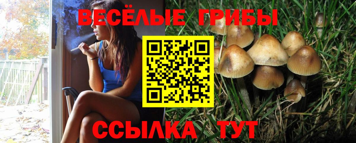 Гудермес  закладка  Вход с VPN  Псилоцибиновые грибы MAGIC MUSHROOMS 