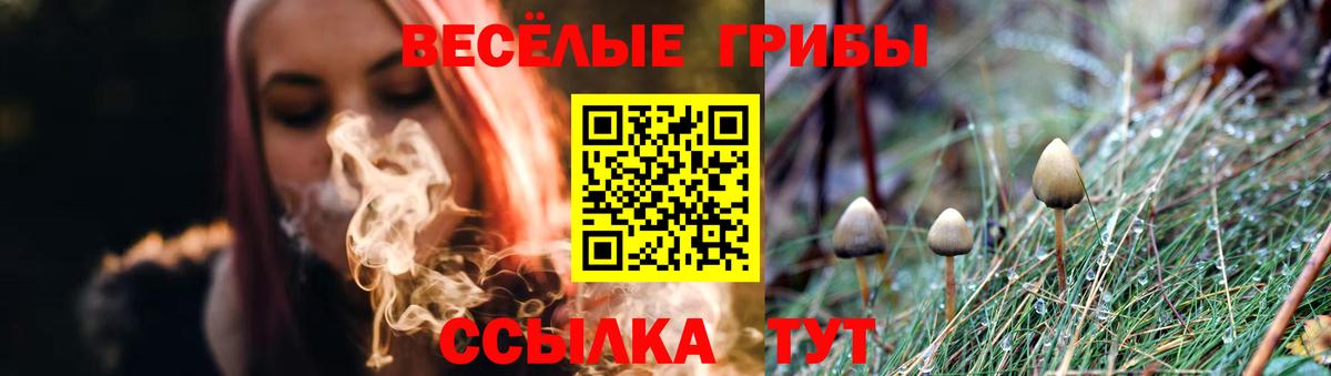 Галлюциногенные грибы Cubensis Гудермес